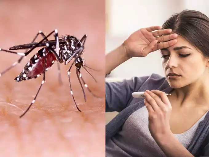 Natural treatment for dengue fever