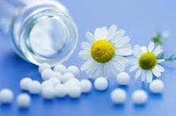 Best Homeopathic Doctor